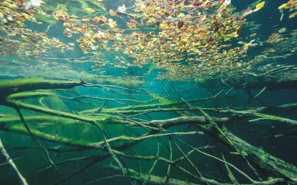 Su Yeşili Orman – Sülüklügöl / Bolu