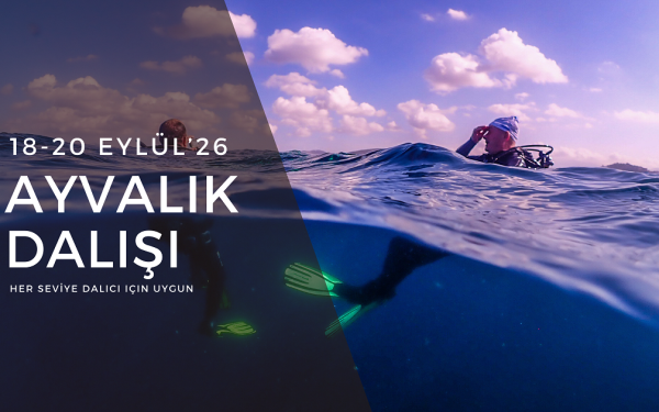AYVALIK DALIŞ ETKİNLİĞİ