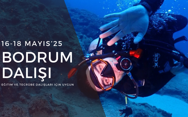 Bodrum Dalış Etkinliği