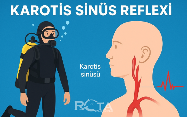 KAROTİS SİNÜS REFLEKSİ NEDİR?