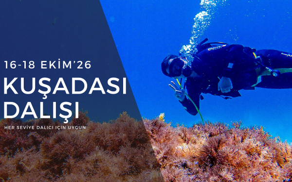 KUŞADASI DALIŞ ETKİNLİĞİ