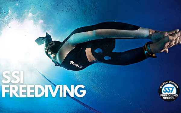 SSI FREEDIVING EĞİTİMİ